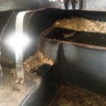 Cforcar Facel Vega Restoration 1 162